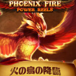 フェニックスファイヤーパワーリール（Phoenix Fire Power Reels）の解説
