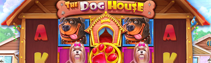 ザドックハウス（The Dog House）の基本情報